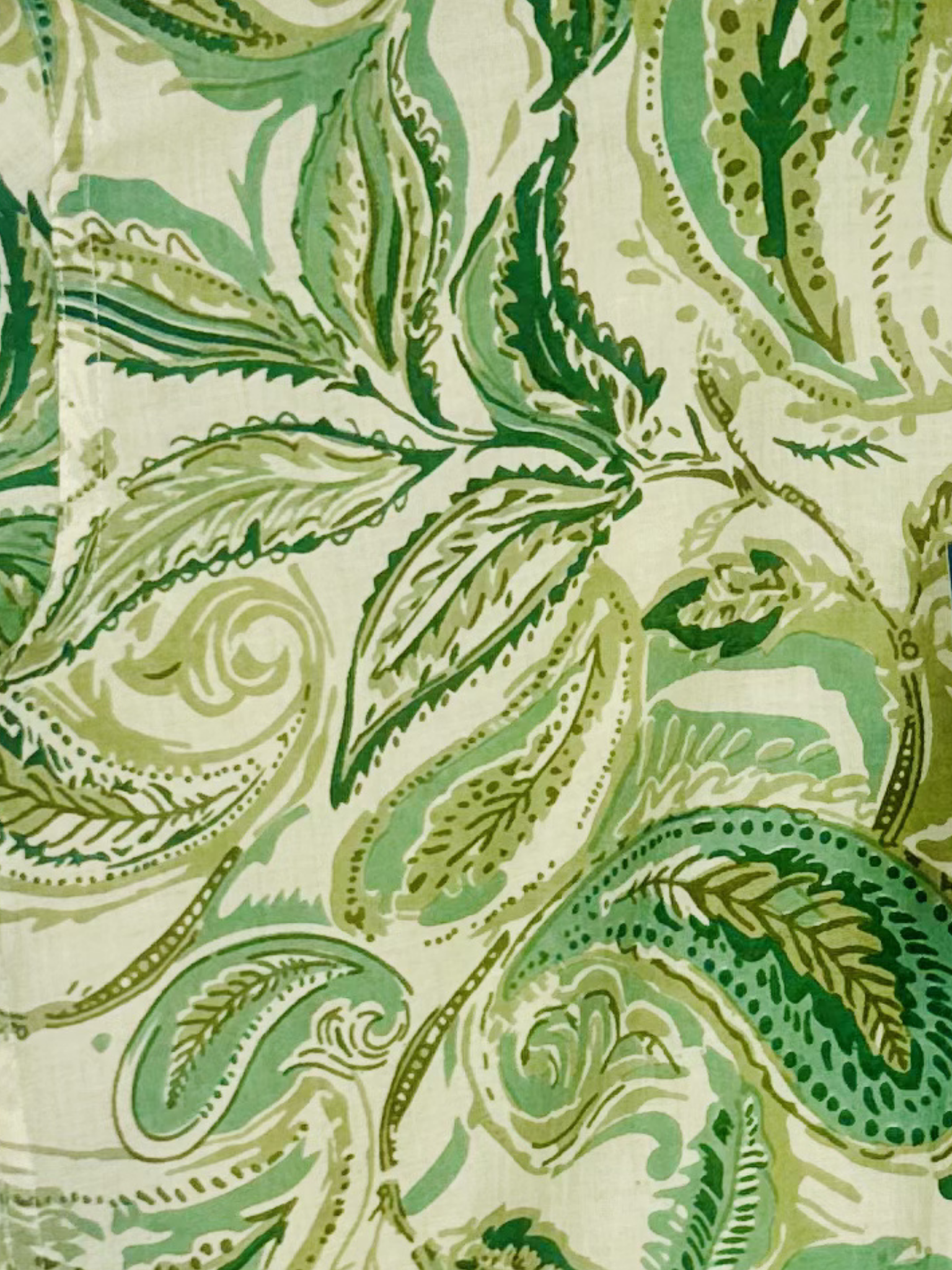 Minty Garden Half Sleeves Shirt