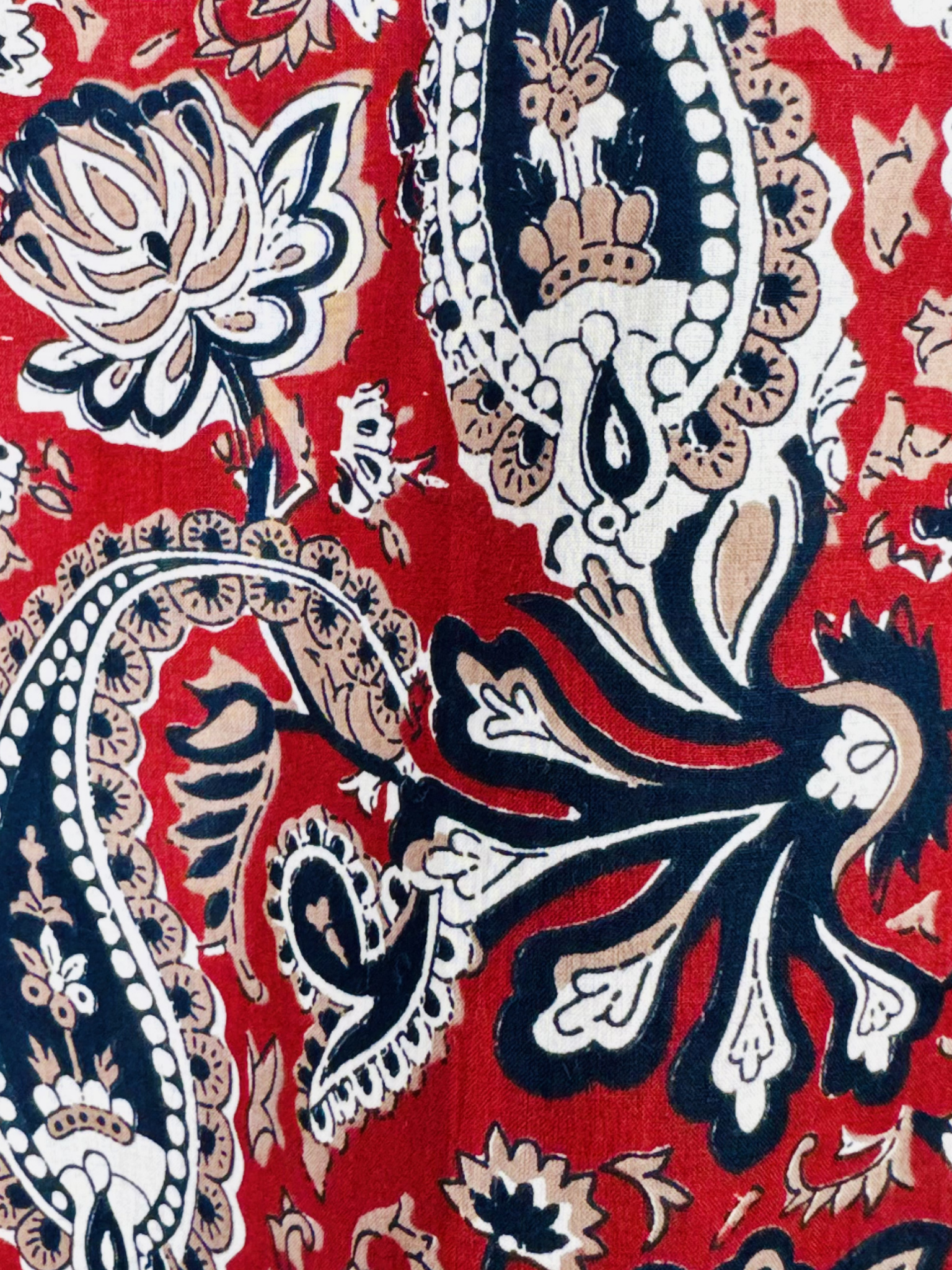 Regal Paisley Half Sleeves Shirt